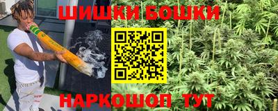 шишки Будённовск