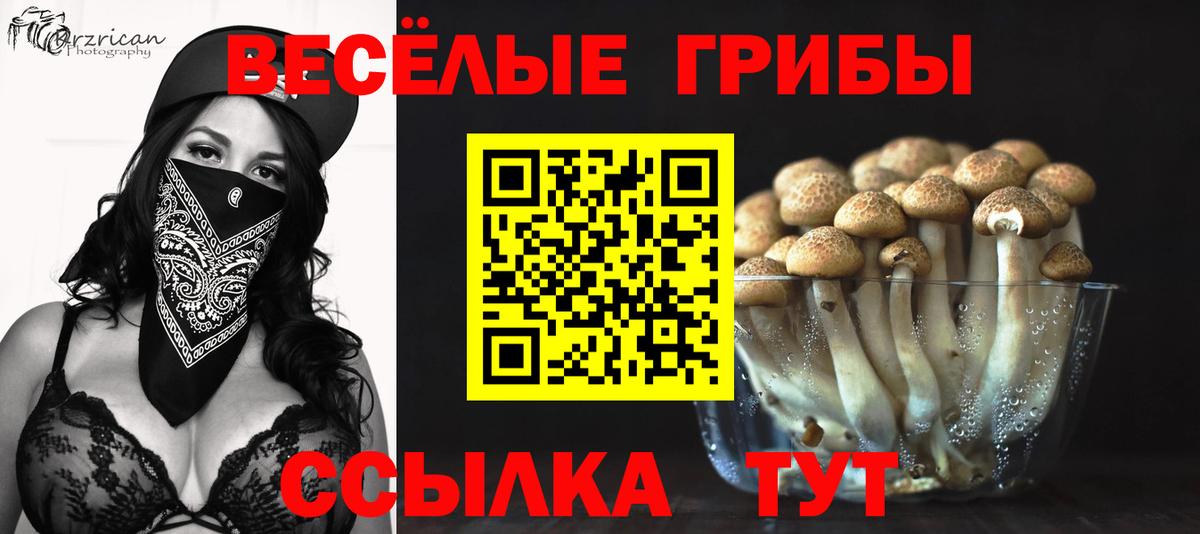 Псилоцибиновые грибы MAGIC MUSHROOMS Сегежа